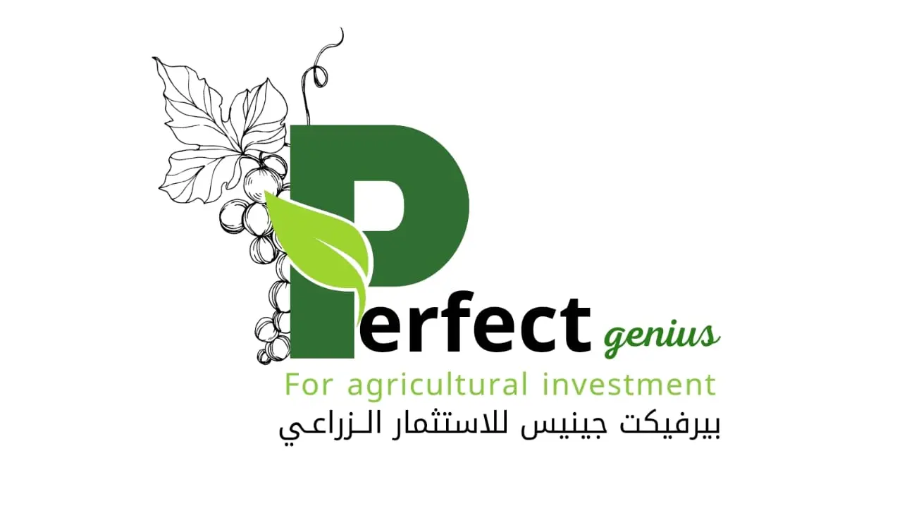 Perfect-PG